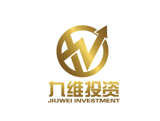 陈智江的九维投资logo设计