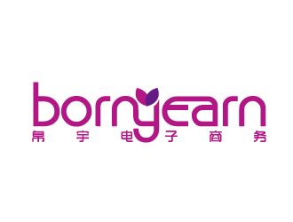 陈智江的青岛帛宇电子商务有限公司（英文标志：bornyearn）logo设计
