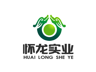 朱兵的怀龙实业有限公司logo设计