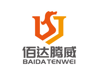 向正军的四川佰达腾威网络科技有限公司logo设计