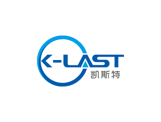 王涛的深圳市凯斯特密封技术有限公司logo设计