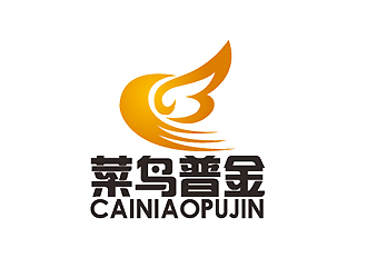 秦晓东的菜鸟普金卡通标志logo设计