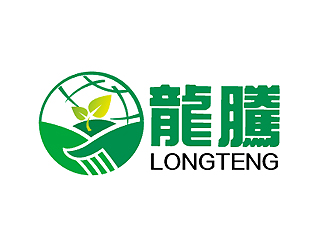 秦晓东的龍驣logo设计