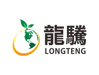 王仁宁的龍驣logo设计