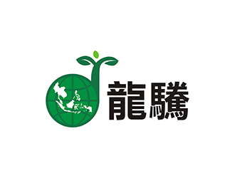 梁俊的龍驣logo设计
