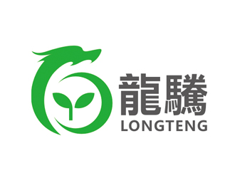 赵鹏的龍驣logo设计