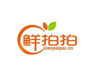 朱兵的鲜拍拍生鲜网购平台标志logo设计