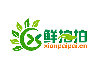 潘乐的鲜拍拍生鲜网购平台标志logo设计