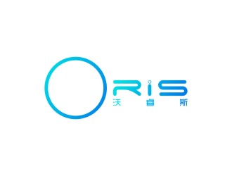 陈国伟的沃睿斯网络科技南通有限公司logo设计