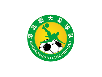 秦晓东的logo设计