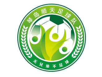王晓野的琴岛顺天足球队logologo设计