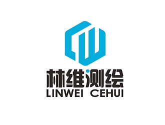 秦晓东的林维测绘logo设计