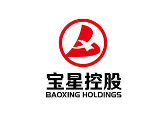 李贺的宝星控股有限公司logo设计