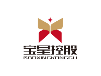 孙金泽的宝星控股有限公司logo设计