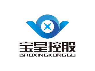 孙金泽的宝星控股有限公司logo设计