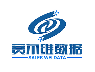 潘乐的深圳市赛尔维数据有限公司logo设计