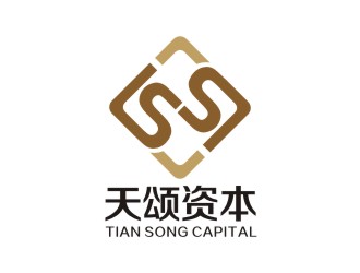 李泉辉的天颂资本管理（广州）有限公司logo设计