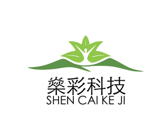 李正东的燊彩科技logo设计