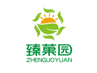 谭家强的臻菓园logo设计