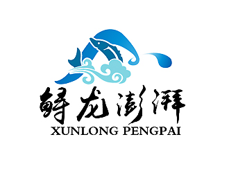 秦晓东的鲟龙澎湃logo设计