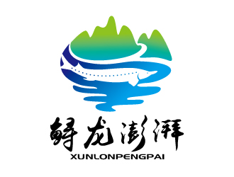 张俊的鲟龙澎湃logo设计