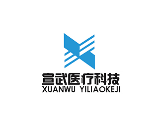 秦晓东的湖南宣武医疗科技有限公司logo设计