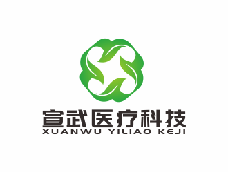 汤儒娟的湖南宣武医疗科技有限公司logo设计