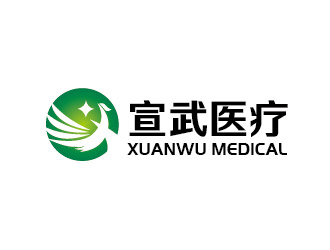 李贺的湖南宣武医疗科技有限公司logo设计