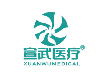陈晓滨的湖南宣武医疗科技有限公司logo设计