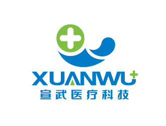 陈晓滨的湖南宣武医疗科技有限公司logo设计