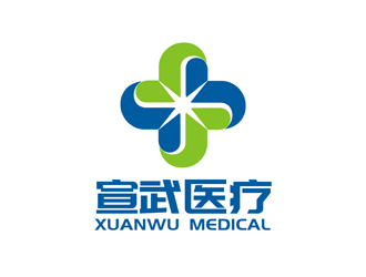 谭家强的湖南宣武医疗科技有限公司logo设计