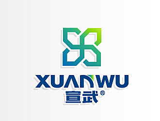 黎明锋的湖南宣武医疗科技有限公司logo设计