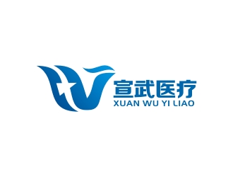 李泉辉的湖南宣武医疗科技有限公司logo设计