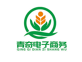 盛铭的南京市青奇电子商务有限公司logo设计