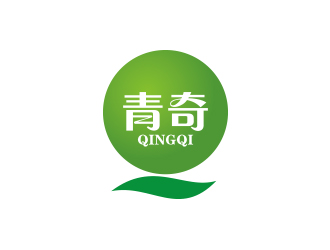 孙金泽的南京市青奇电子商务有限公司logo设计