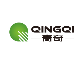 孙金泽的南京市青奇电子商务有限公司logo设计