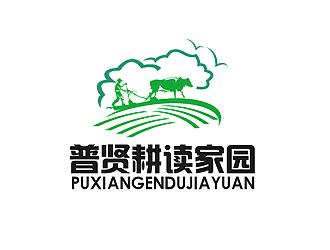 秦晓东的logo设计