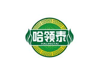 张俊的哈领泰logo设计
