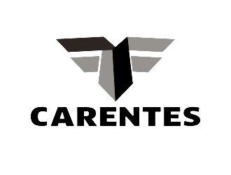 杨占斌的logo设计