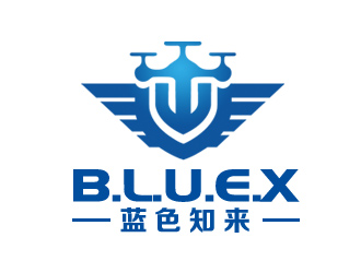 余亮亮的上海蓝色知来科技有限公司logo设计