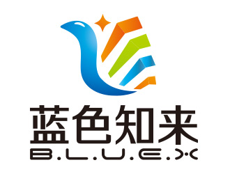 向正军的上海蓝色知来科技有限公司logo设计