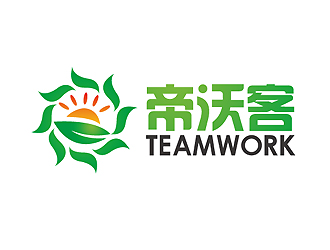 秦晓东的帝沃客logo设计