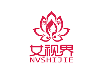 劳志飞的女视界logo设计