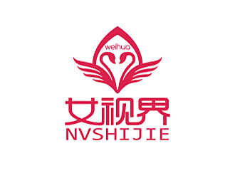 劳志飞的女视界logo设计