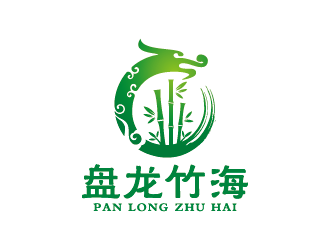 王涛的盘龙竹海logo设计