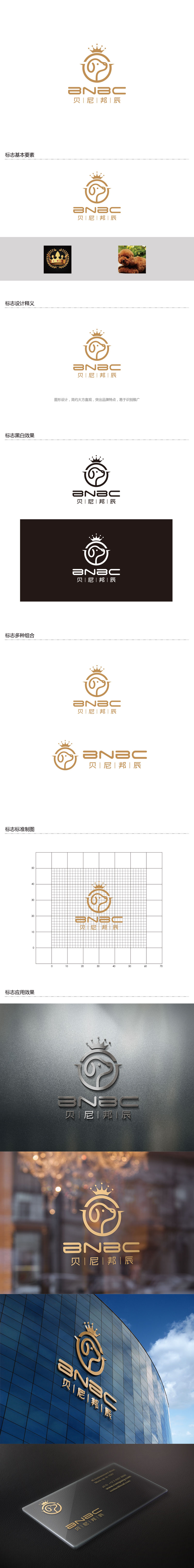 孙金泽的贝尼邦辰logo设计