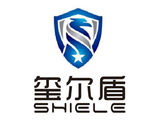 李正东的成都一诺瑞德科技有限公司logo设计