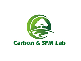 秦晓东的Carbon & SFM Lab 或者 C&SFM Lab logo设计