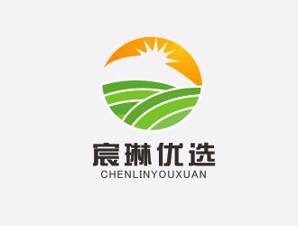 胡红志的宸琳优选logo设计