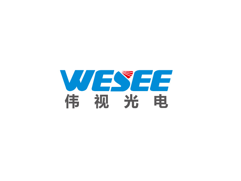 盛铭的WeSee   伟视光电logo设计